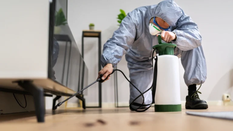 From Rodents to Roaches: Securing Effective London Pest Control