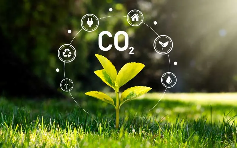 From Footprint to Future: A Comprehensive Guide to Offset Your Carbon Footprint UK