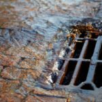 Protecting Your Twickenham Property Through Professional Drainage Care