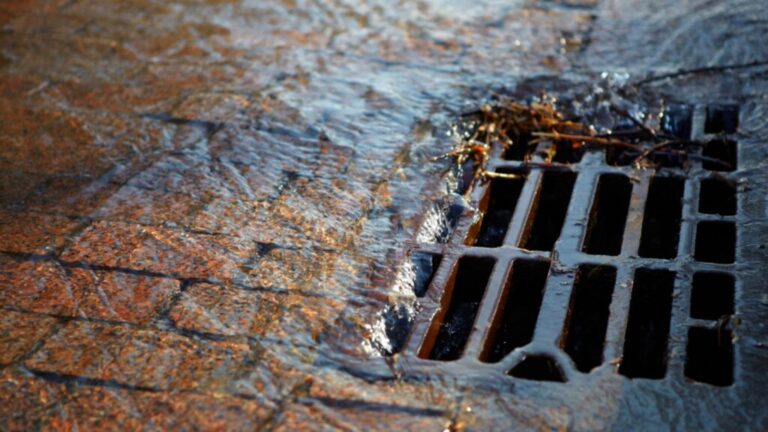Protecting Your Twickenham Property Through Professional Drainage Care
