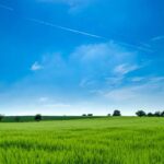 Patience Pays: The Role of Strategic Land Promotion in Realising Development Value