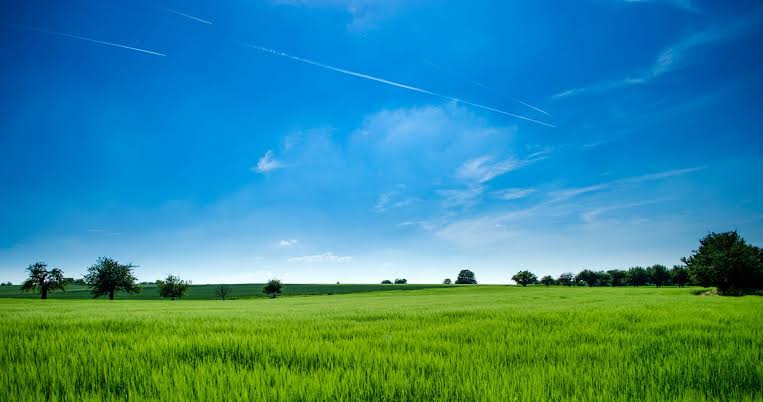 Patience Pays: The Role of Strategic Land Promotion in Realising Development Value
